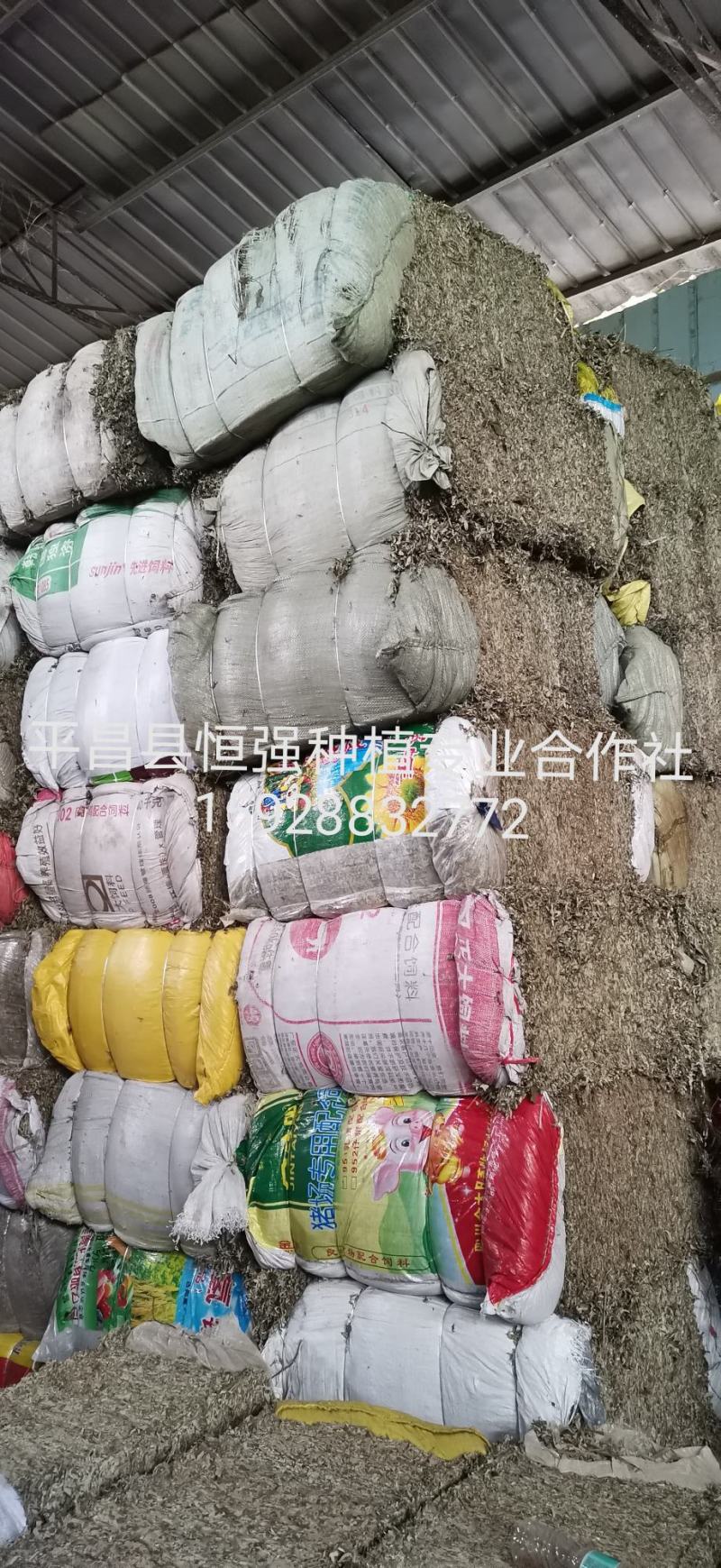 艾叶野生艾叶，大货供应100吨，产地直销