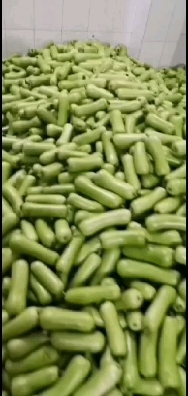 新苗的胯瓜，大量上市场了有朋友需要可以联系