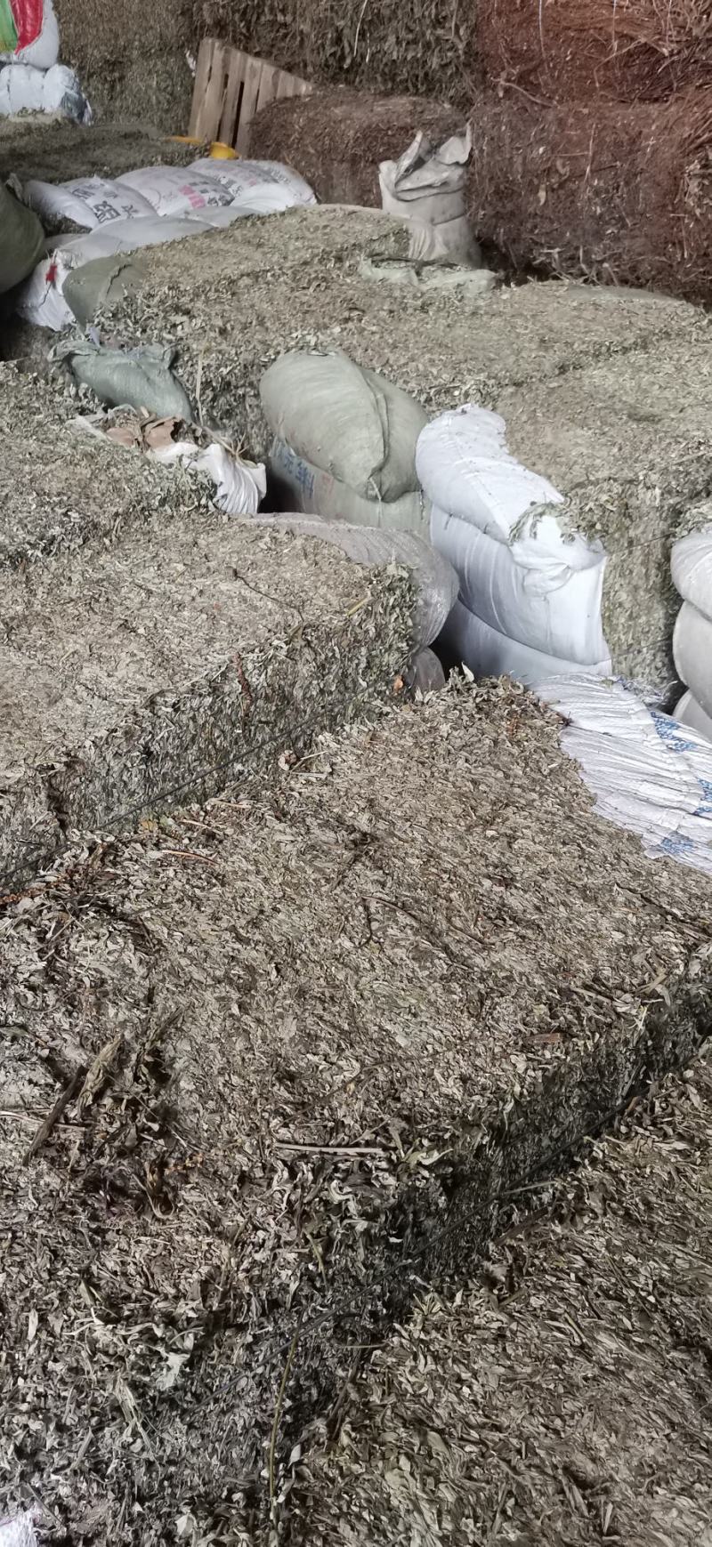 艾叶野生艾叶，大货供应100吨，产地直销
