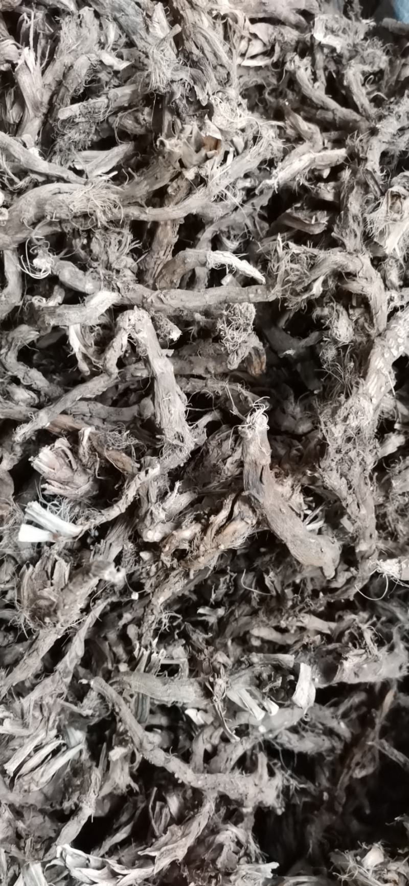 石菖蒲纯野生药厂投料货饮片货大货供应