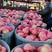 山东红富士苹果苹果产地直发货源充足品相正口感好