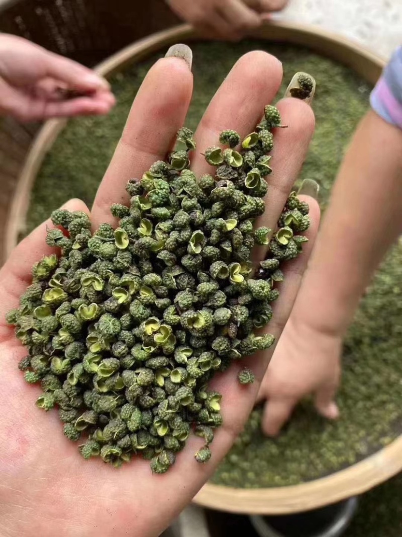 餐饮专供青干花椒乡镇跑量调料品碗装花椒厂家直销