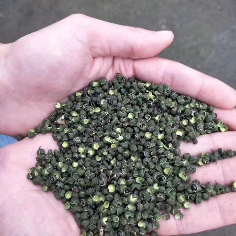 餐饮专供青干花椒乡镇跑量调料品碗装花椒厂家直销