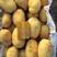 精品黄心ev土豆：颜色个头薯型三优，适合高端市场和商超。