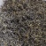 英德红茶广东特产红茶英红九号特级礼盒茶叶浓香型新茶
