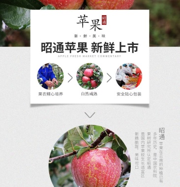 云南昭通苹果丑苹果糖心苹果质量保证货源充足