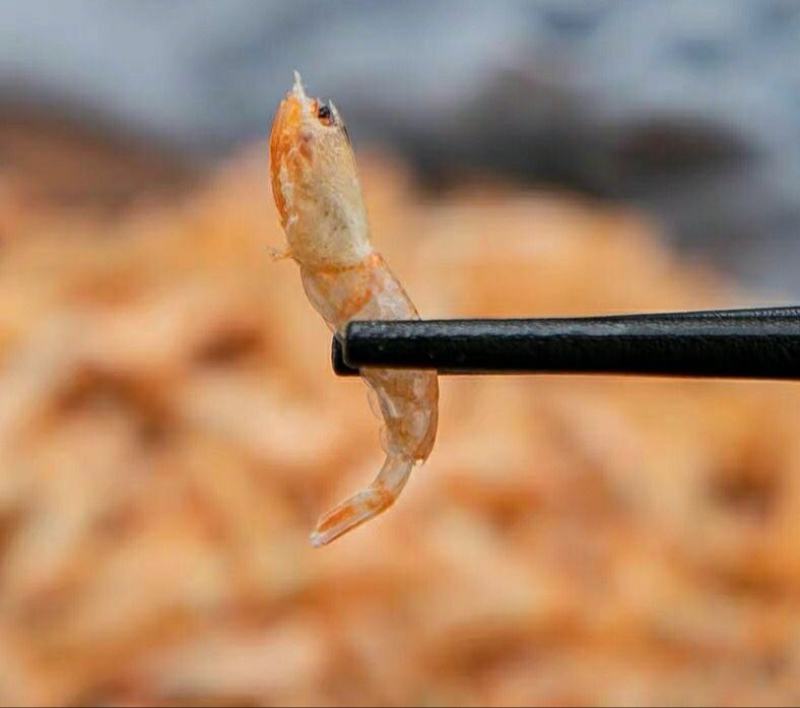 特级麦秆虾干无盐淡干老人孕妇宝宝补钙即食虾干干货包