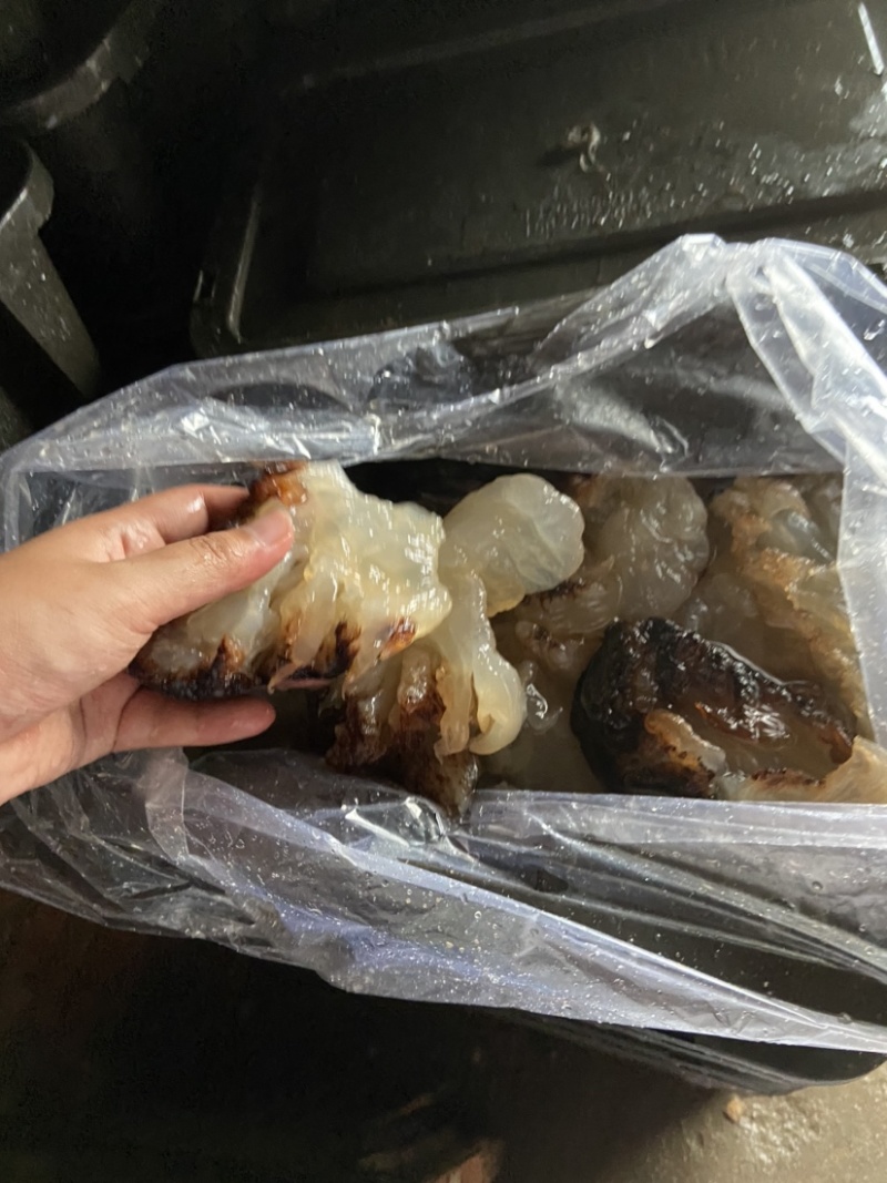 海蜇头，沙蛰头，批发酒店市场，各种价格质量得货都有