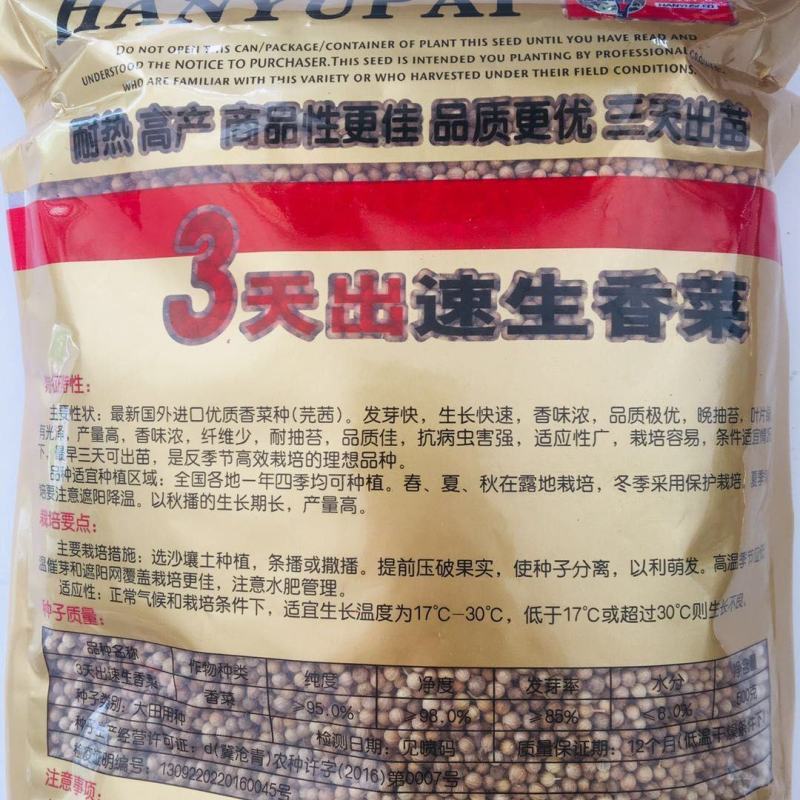 3天出速生香菜种子意大利进口芫荽种籽香味浓郁耐热抗寒