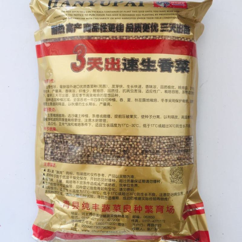 3天出速生香菜种子意大利进口芫荽种籽香味浓郁耐热抗寒