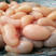 鸡籽（一手货源）鸡腰子公鸡蛋产品大中小规格齐全