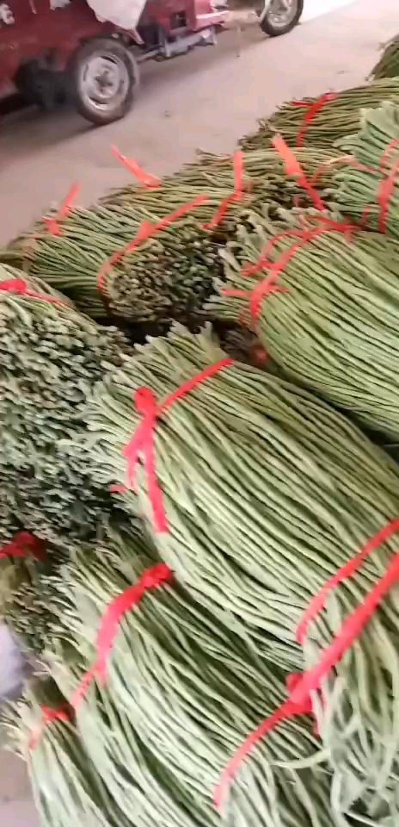 豆角