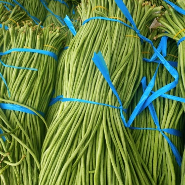 内黄县秋豆角大量上市质量好