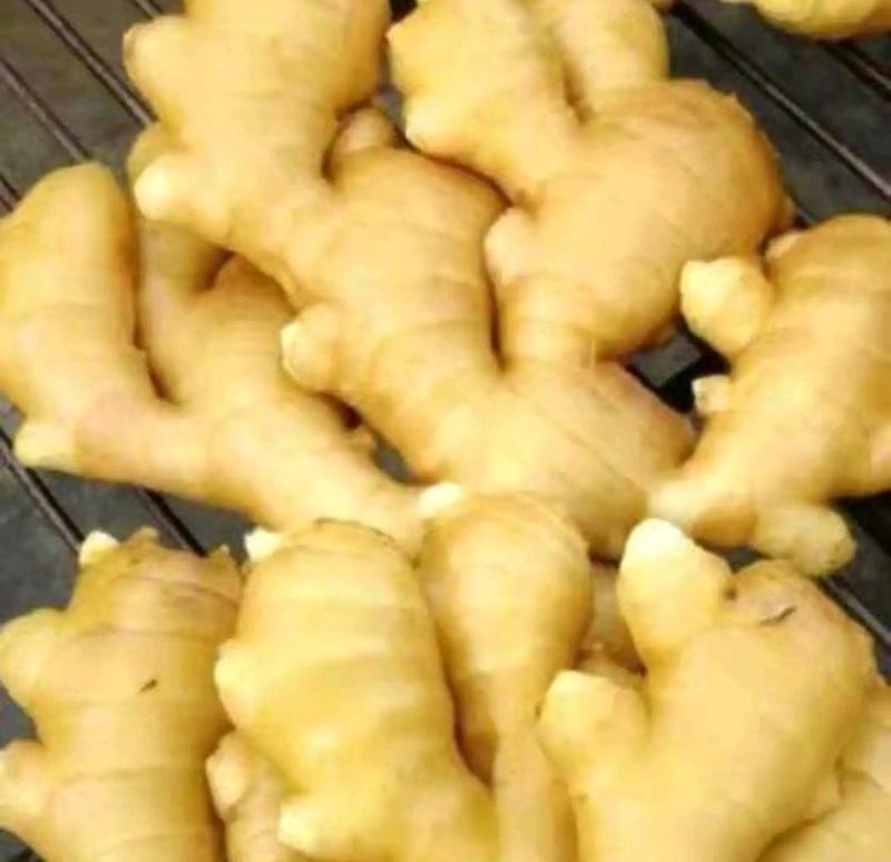小黄姜产地批发优质小黄姜大量供应货源充足全国物流发货