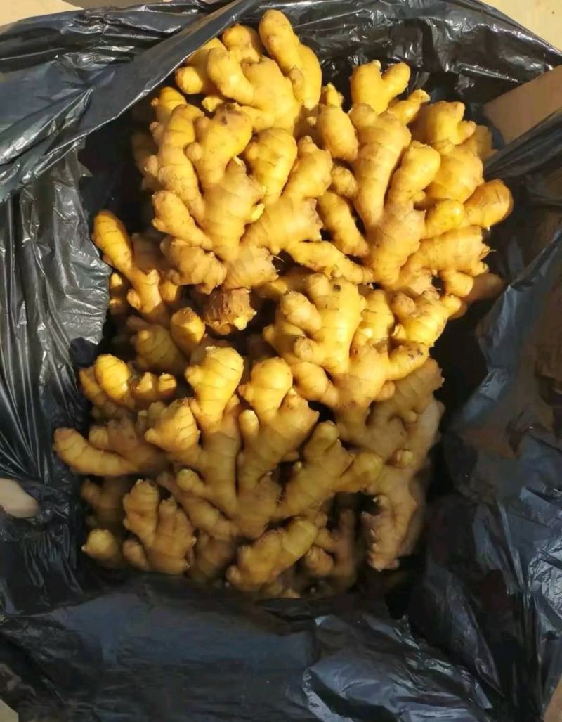 小黄姜优质小黄姜产地批发精品小黄姜品质好全国物流发货