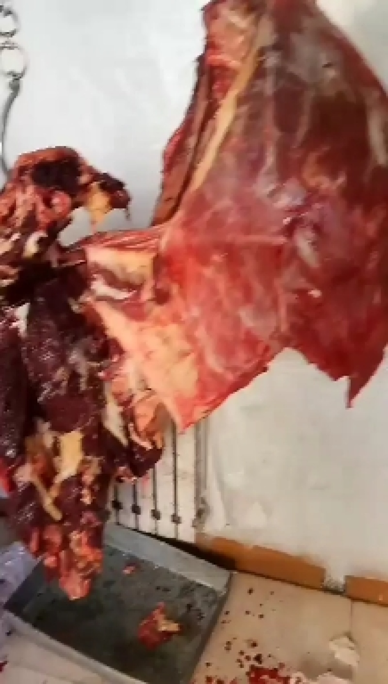 草原驴肉10斤包邮内蒙古草原野外放养毛驴现拍现宰