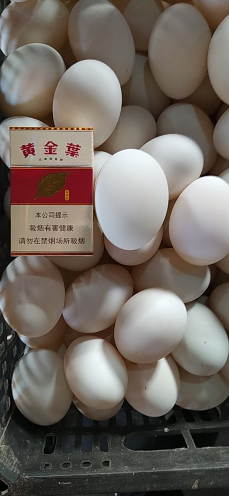 【牛商推荐】鹅蛋，桶装大鹅蛋，大鸭蛋，精品蛋，质量保证