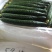精品黑黄瓜