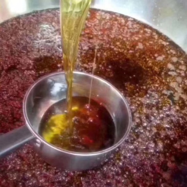花椒油麻椒油藤椒油鲜货