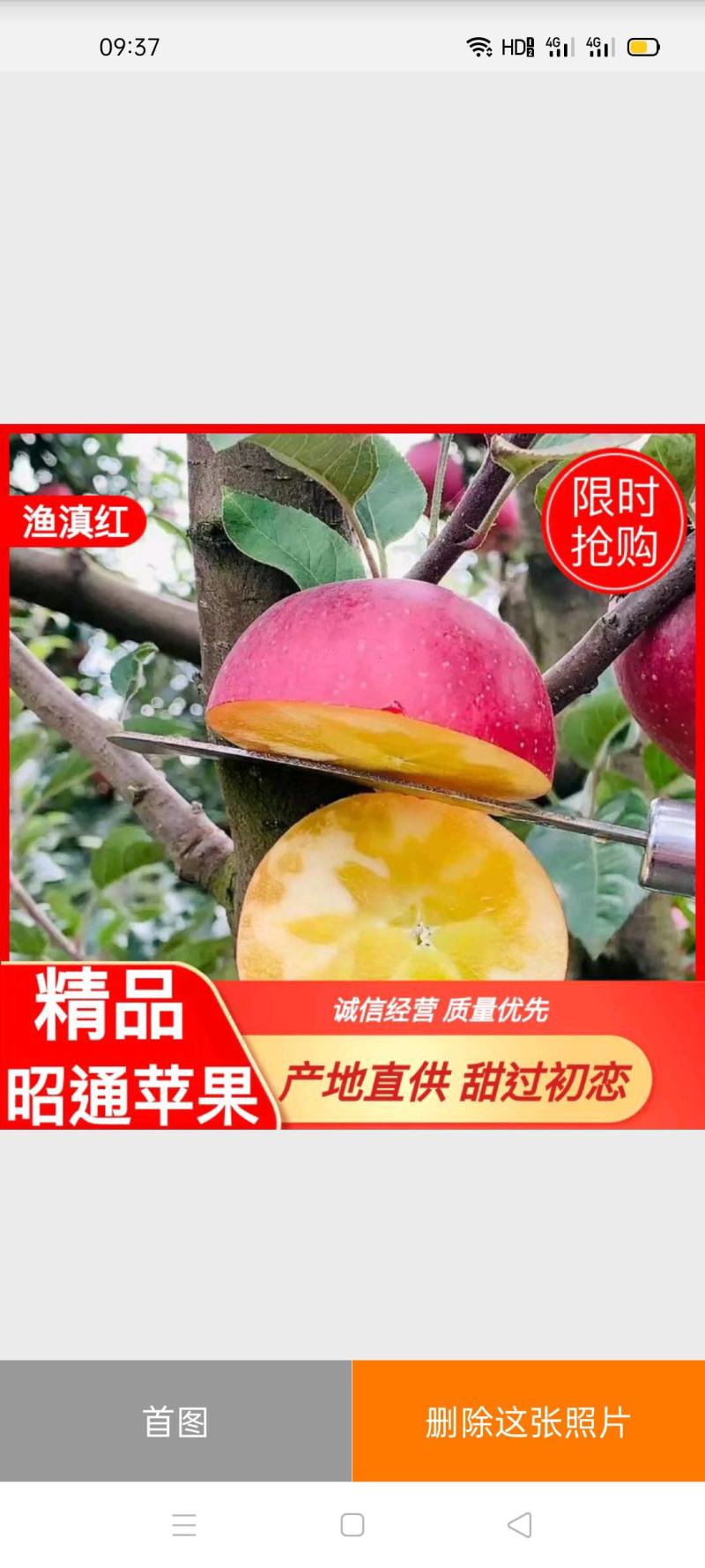 【好货】云南昭通野生丑苹果冰糖心苹果一件代发【产地代办】