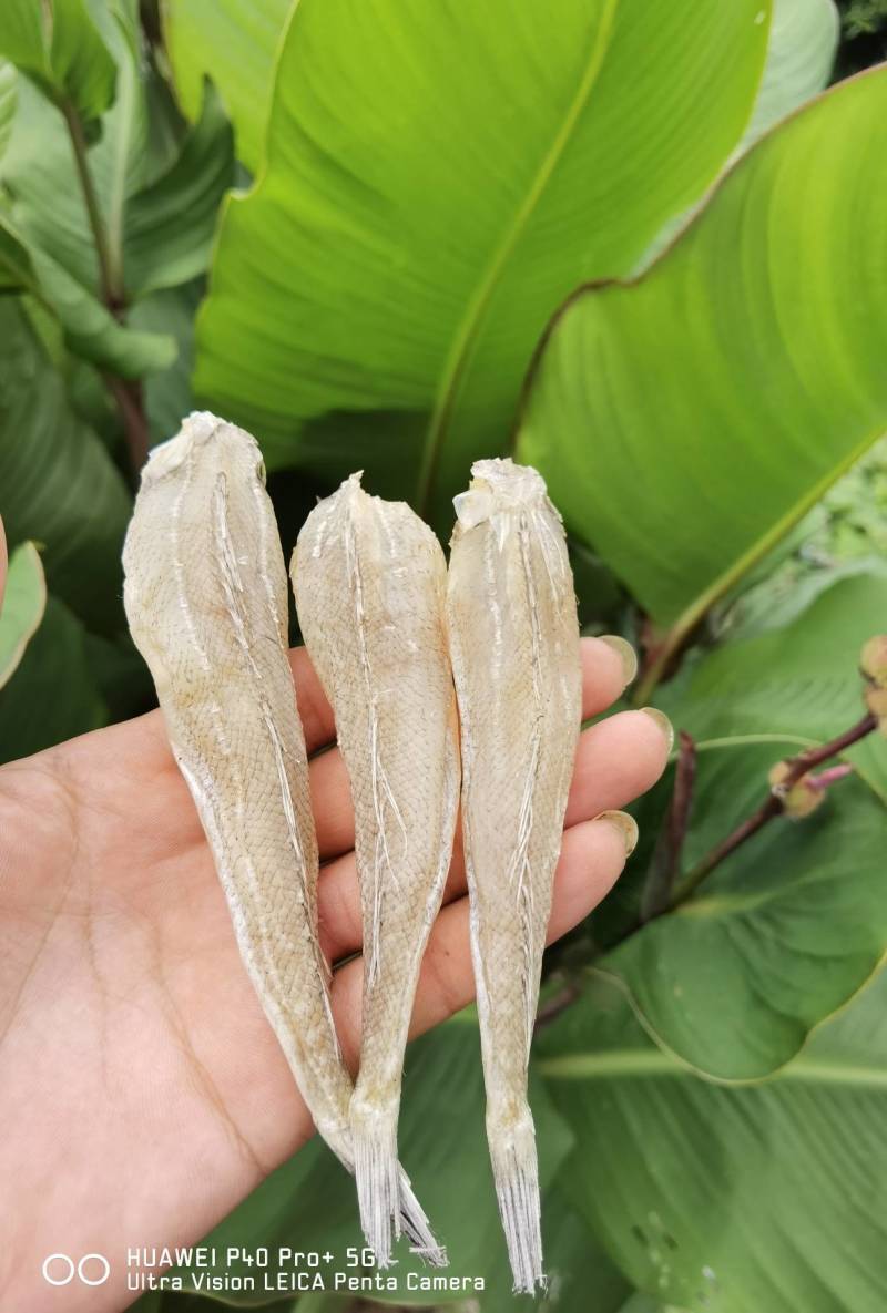 【推荐】无巴沙甲丁鱼沙丁鱼咸鱼干摆摊赶集热卖产品