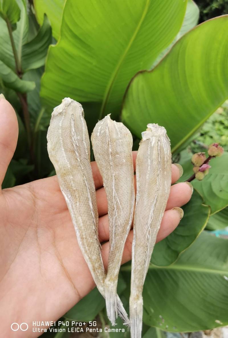 【推荐】无巴沙甲丁鱼沙丁鱼咸鱼干摆摊赶集热卖产品