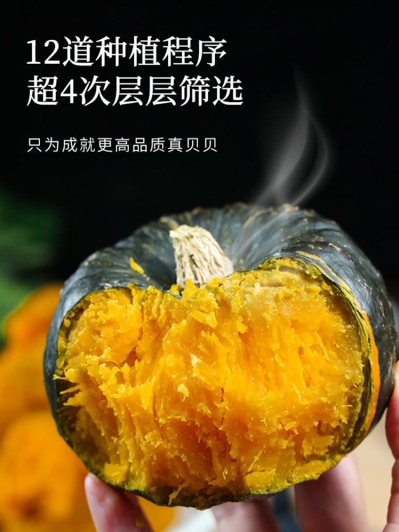 【贝贝南瓜】粉糯香甜宝宝辅食老幼皆宜批发零担一件代发