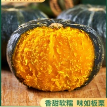 【贝贝南瓜】粉糯香甜宝宝辅食老幼皆宜批发零担一件代发