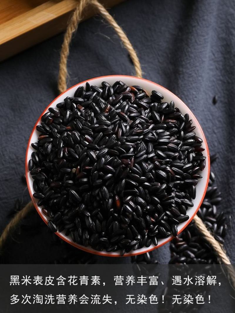 黑米，现货批发东北黑米（量大从优）