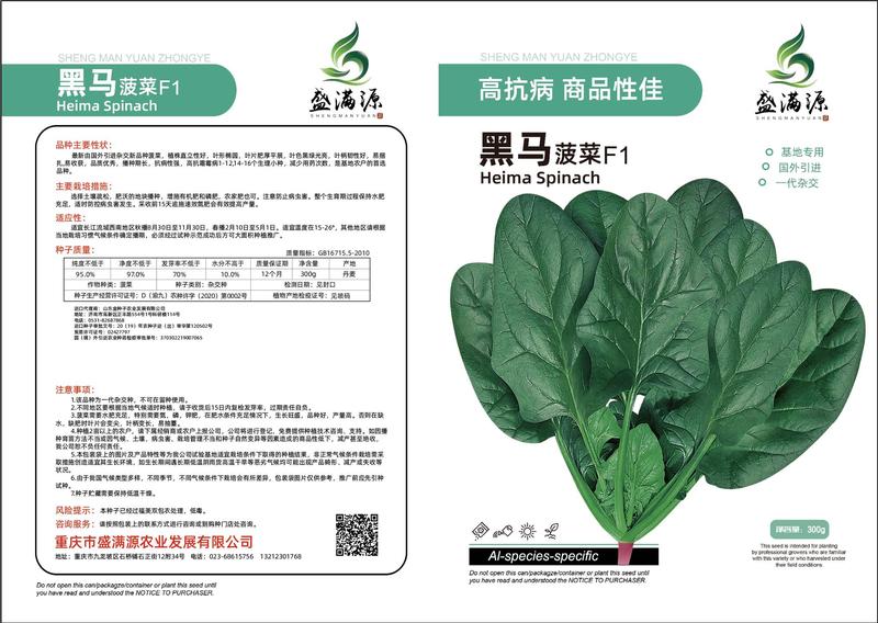 全国发货高品质菠菜种子黑叶