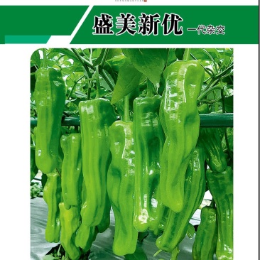 早熟薄皮椒虎皮青椒种子大果形