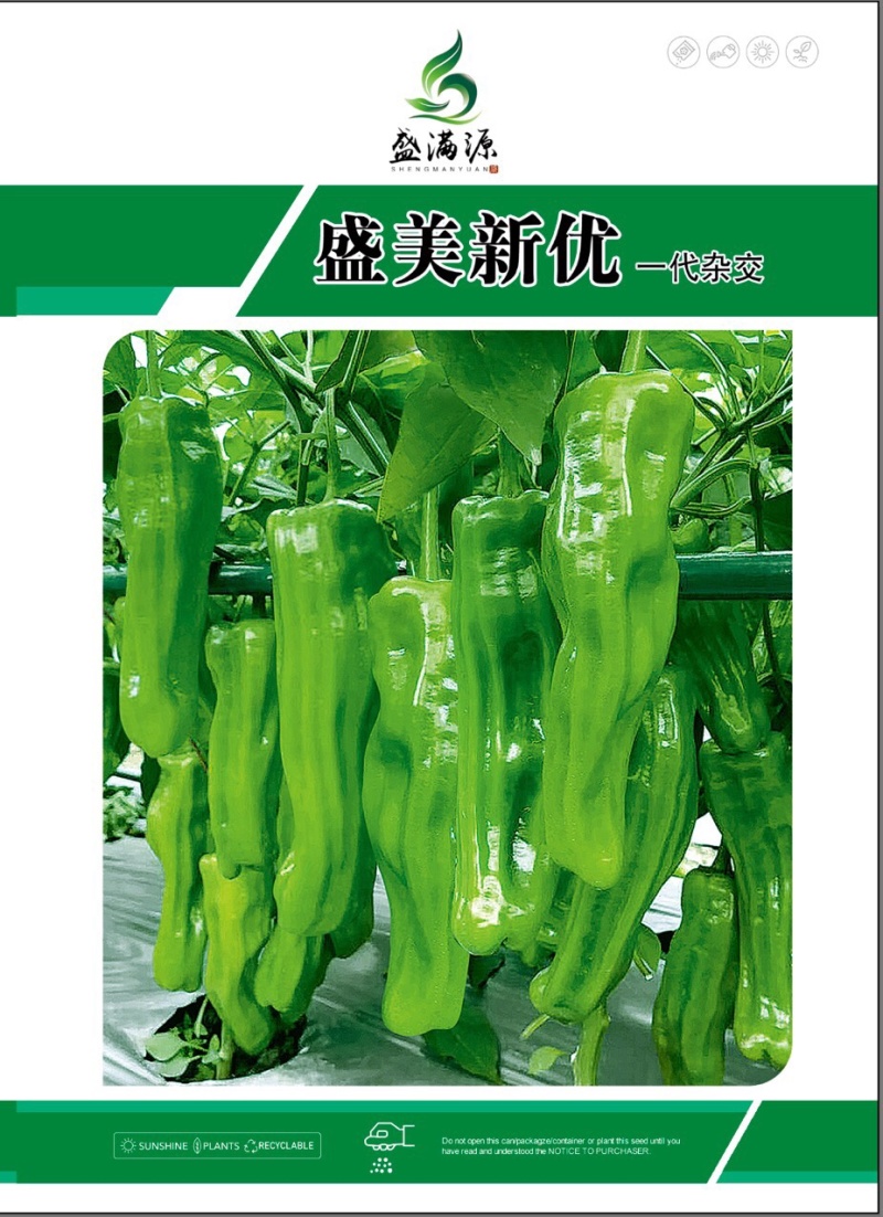 早熟薄皮椒虎皮青椒种子大果形