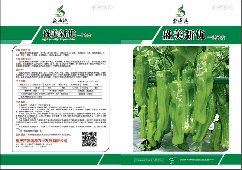 早熟薄皮椒虎皮青椒种子大果形