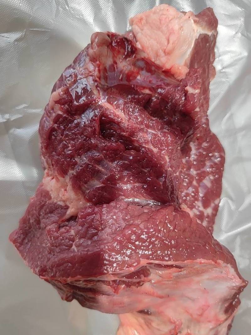 驼峰肉草原野外放养骆驼现宰五斤起拍400斤包邮