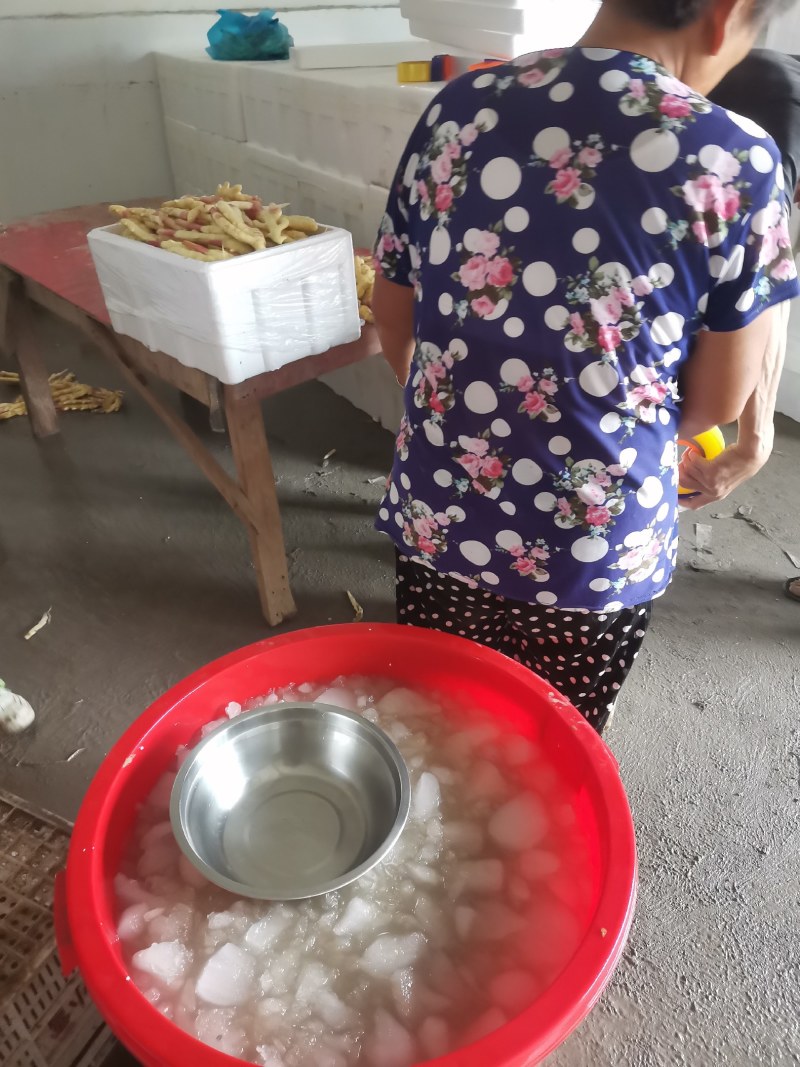 姜，红芽姜，精品洗姜，加冰泡沫箱装仔姜，优质二黄仔姜