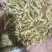小黄鱼干，冻板，自然风干都有