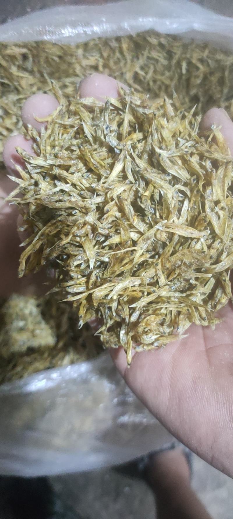 小黄鱼干，冻板，自然风干都有