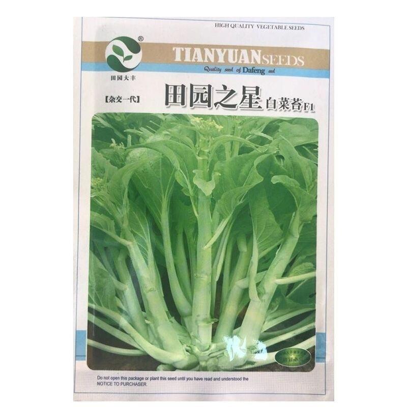 金枝玉叶白菜苔种子田园之星，杂交早熟品种是白菜苔中之精品