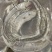 可送上海鲜活带鱼，抽真空精品单独包装，品质保证，出口标准