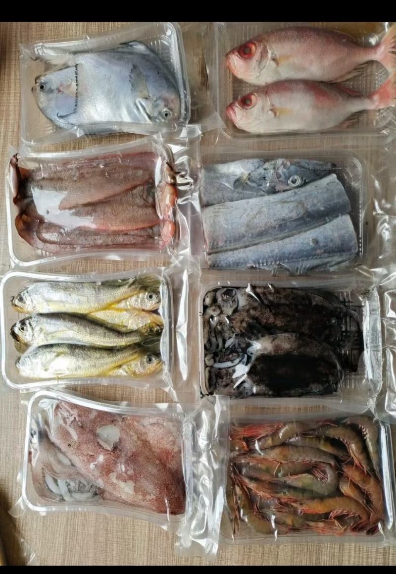 可送上海鲜活带鱼，抽真空精品单独包装，品质保证，出口标准