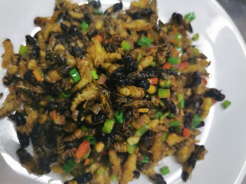 蜂蛹