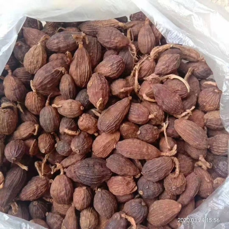 【热销中】云南精品草果产地直发货源充足欢迎咨询