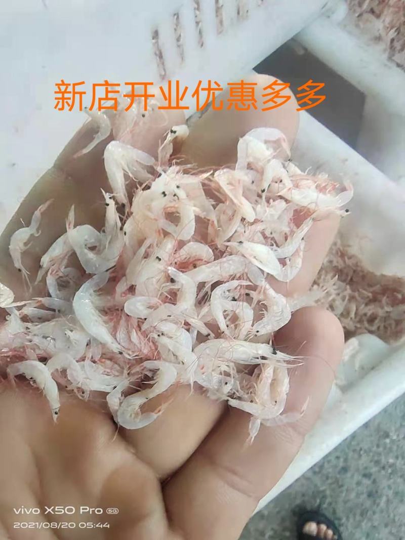 无盐淡干虾皮干度好色泽好质量杠杠滴适用商超电商
