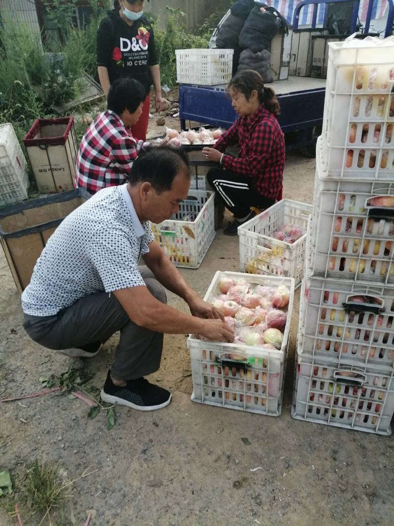 膜袋嘎啦