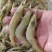 新鲜小黄虾，美味鲜甜，一手货源，每天码头上货。