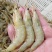 新鲜小黄虾，美味鲜甜，一手货源，每天码头上货。