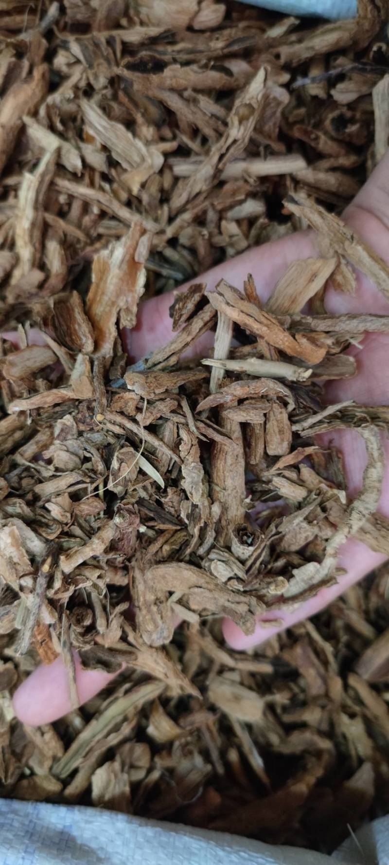 地骨皮各种中药材批发地骨皮新货