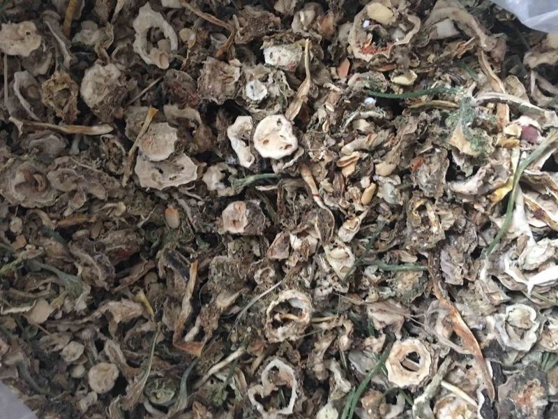 原产地合作社代收苦瓜干片干货自然晾晒烘干药厂供货