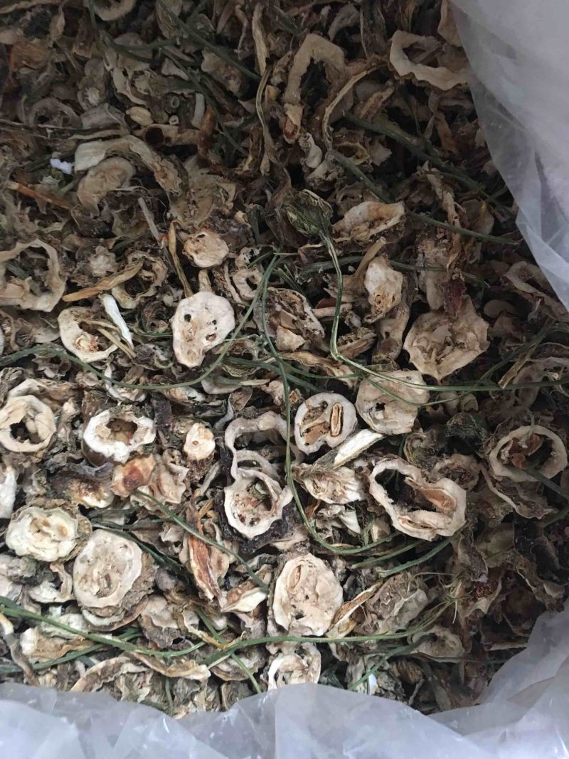 原产地合作社代收苦瓜干片干货自然晾晒烘干药厂供货