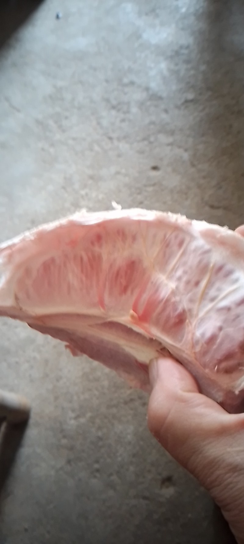 永定六月红